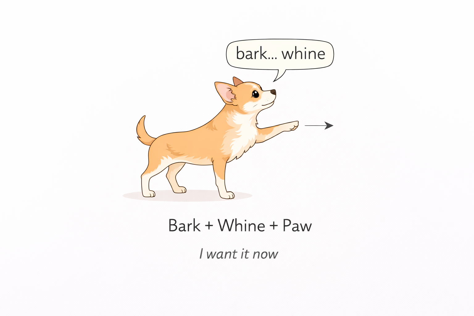 Lesson 2 example image